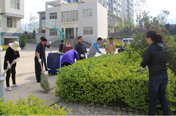 ����������Ŀ��չ�조��һ���Ͷ����ų��