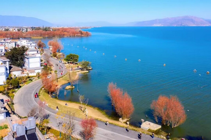 1674991141173 1674991141173